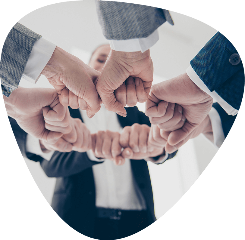 https://www.veilox.com.tr/wp-content/uploads/2019/04/img-team.png